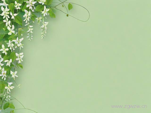 百青藤怎么创建网站,百青藤网站要求