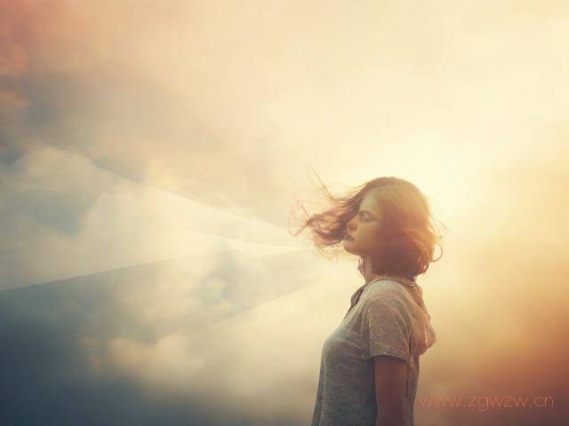 建立了免费网站,怎么退,免费网站怎么申请