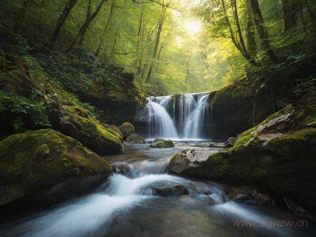 怎么下载视频网站上的视频,怎么下载网站内的视频