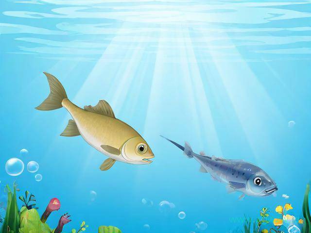 打鱼网站怎么做,网上打鱼平台怎么制作