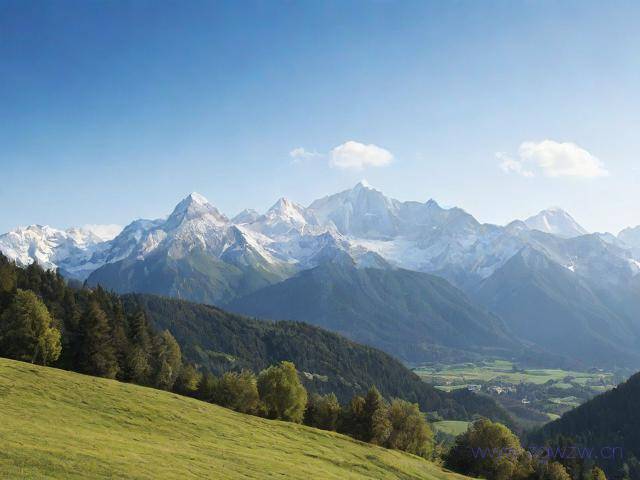 四川网站优化怎么选,四川seowhy整站优化