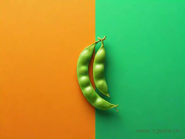 扁豆影视网站怎么找,扁豆影视网站怎么找不到了