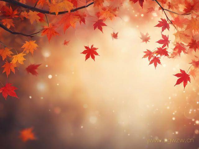 红叶直播网站怎么进,红叶在哪里看