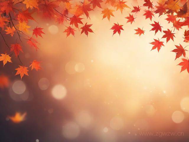 红叶直播网站怎么进,红叶在哪里看